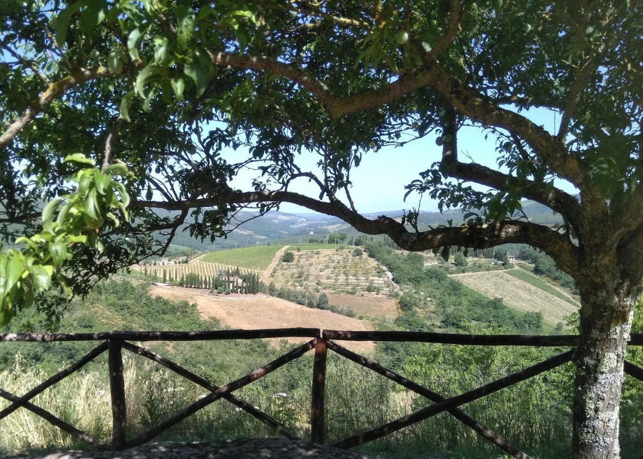 Camere E Appartamenti Baldini Romanita Radda in Chianti Buitenkant foto