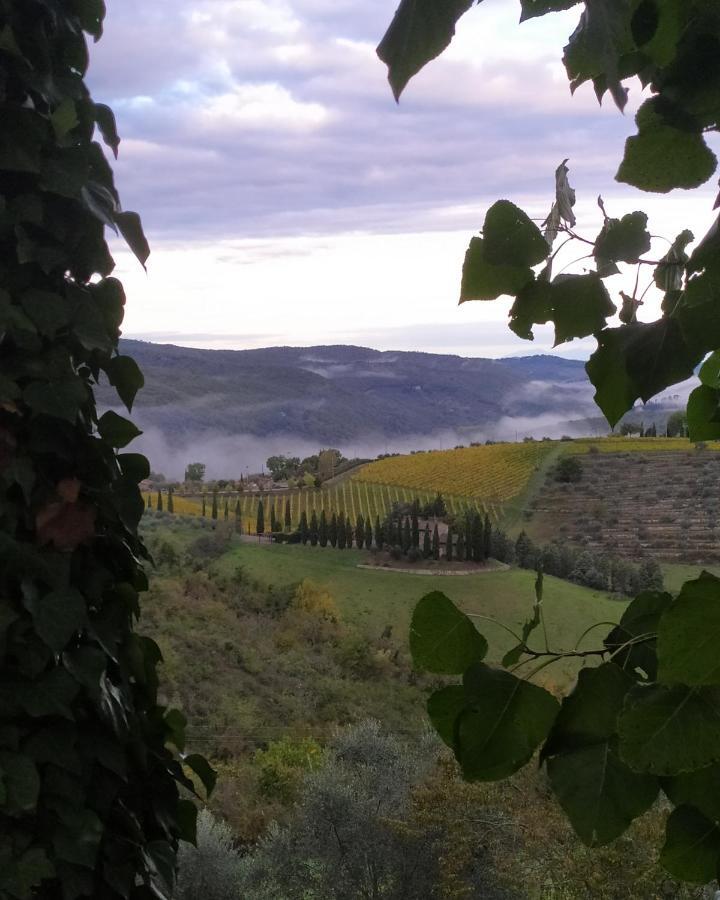 Camere E Appartamenti Baldini Romanita Radda in Chianti Buitenkant foto